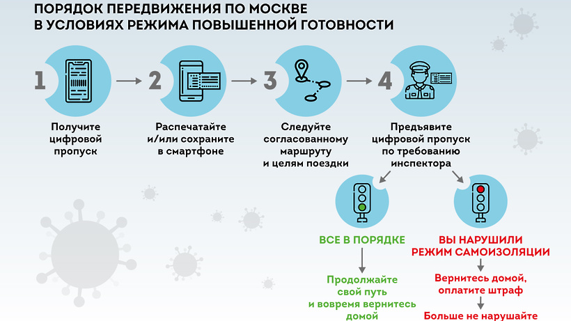 Как получить цифровой пропуск для поездок в Москве и Московской области