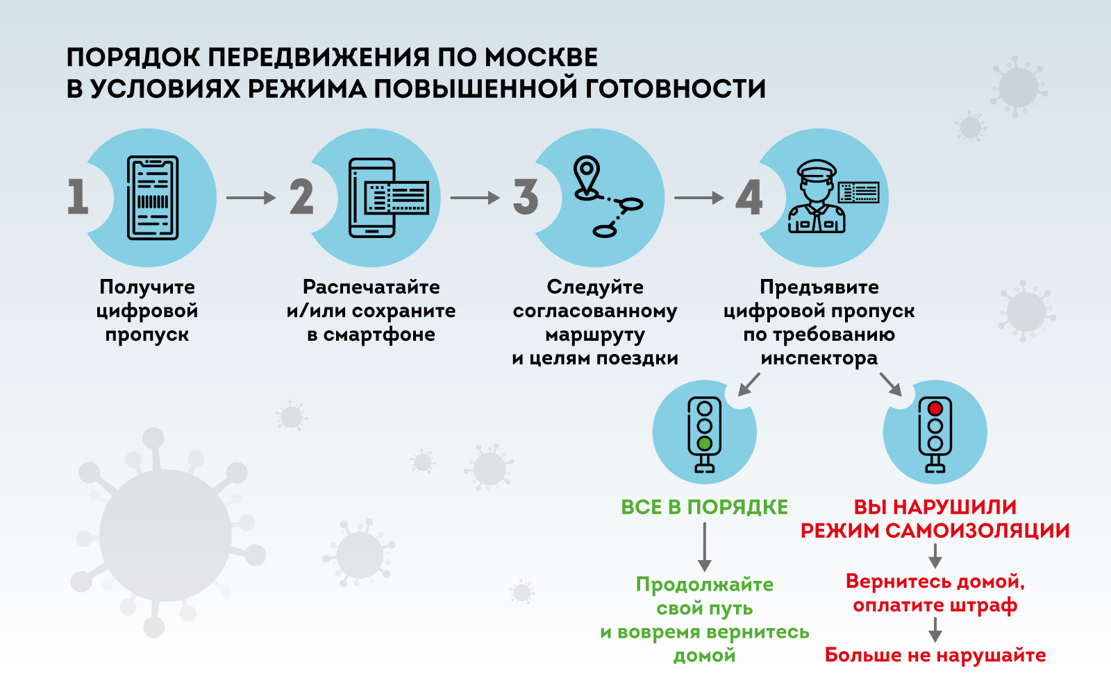 Цифровые пропуска. Основные правила и этапы введения